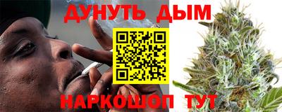 молекула духа Будённовск