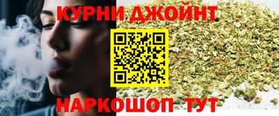 молекула духа Будённовск