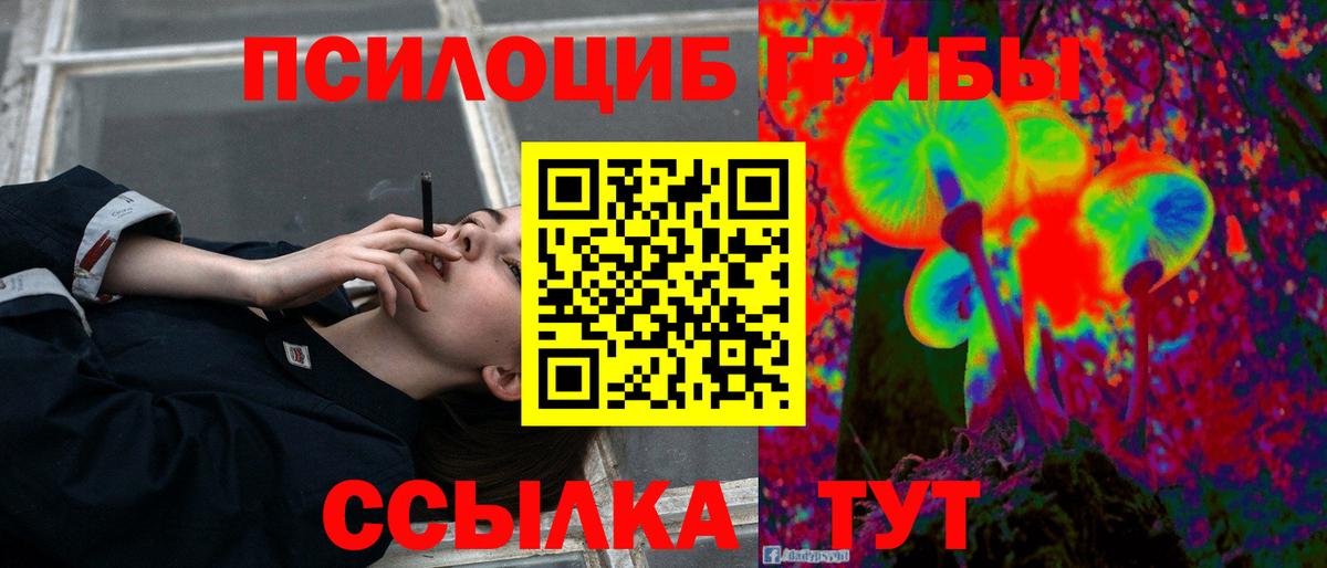 Галлюциногенные грибы Psilocybine cubensis  Вход с VPN  Благовещенск 