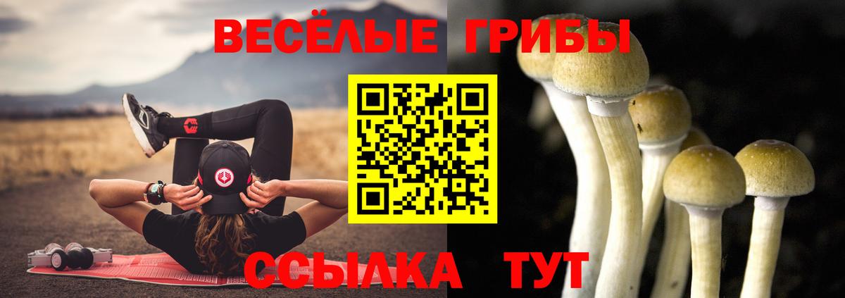 Галлюциногенные грибы мицелий Благовещенск
